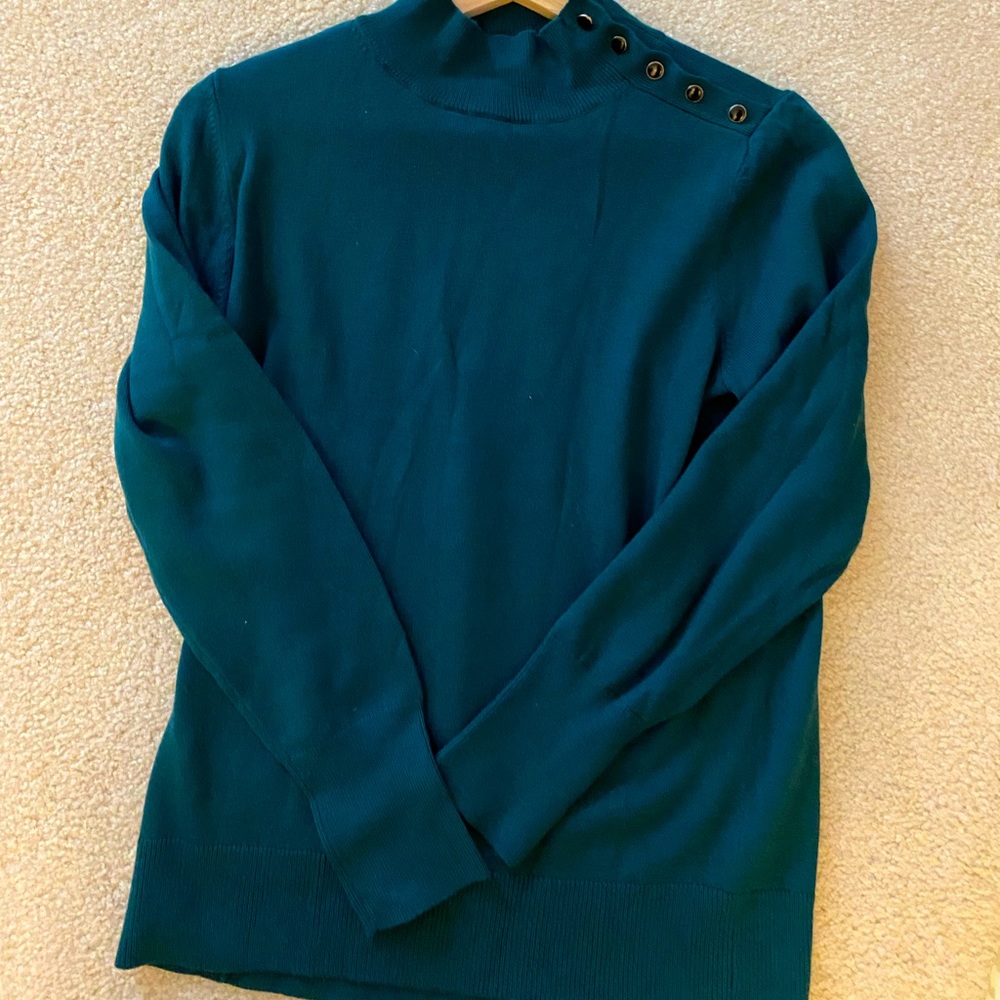 Ann Taylor Turtleneck Sweater
